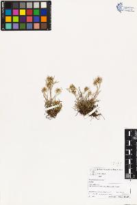 SW_BNB_s3070-03400_IMG-0000000001