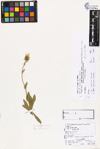 SW_BNB_s3070-03410_IMG-0000000001