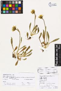 SW_BNB_s3070-03412_IMG-0000000001