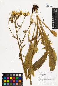 SW_BNB_s3070-03413_IMG-0000000001
