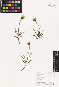 SW_BNB_s3070-03414_IMG-0000000001
