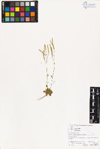 SW_BNB_s3070-03415_IMG-0000000001