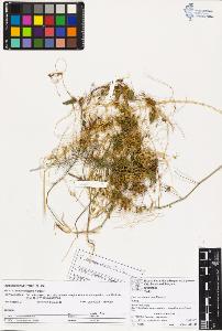SW_BNB_s3070-03416_IMG-0000000001