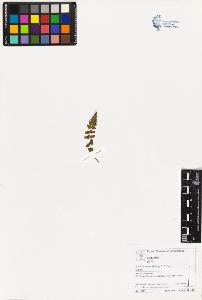SW_BNB_s3070-03418_IMG-0000000001