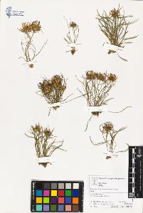 SW_BNB_s3070-03419_IMG-0000000001