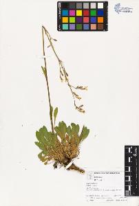 SW_BNB_s3070-03423_IMG-0000000001