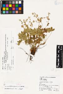 SW_BNB_s3070-03429_IMG-0000000001