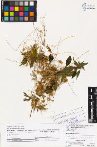 SW_BNB_s3070-03433_IMG-0000000001