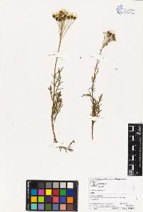 SW_BNB_s3070-03439_IMG-0000000001