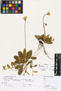 SW_BNB_s3070-03442_IMG-0000000001