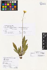 SW_BNB_s3070-03444_IMG-0000000001