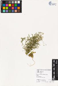 SW_BNB_s3070-03452_IMG-0000000001