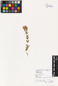 SW_BNB_s3070-03453_IMG-0000000001