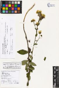 SW_BNB_s3070-03458_IMG-0000000001