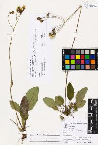 SW_BNB_s3070-03461_IMG-0000000001