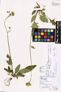 SW_BNB_s3070-03463_IMG-0000000001