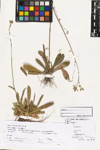 SW_BNB_s3070-03467_IMG-0000000001