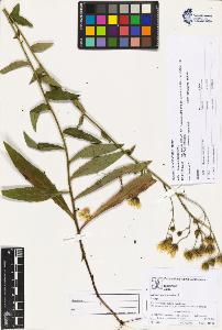 SW_BNB_s3070-03473_IMG-0000000001