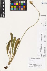 SW_BNB_s3070-03474_IMG-0000000001
