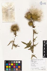 SW_BNB_s3070-03475_IMG-0000000001