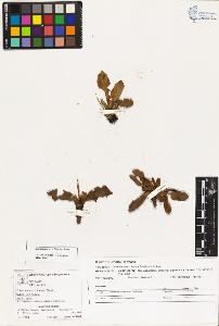 SW_BNB_s3070-03478_IMG-0000000001