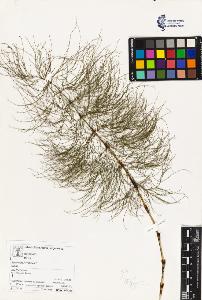 SW_BNB_s3070-03479_IMG-0000000001