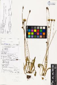 SW_BNB_s3070-03482_IMG-0000000001