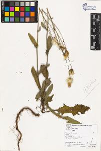 SW_BNB_s3070-03484_IMG-0000000001