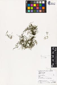 SW_BNB_s3070-03492_IMG-0000000001
