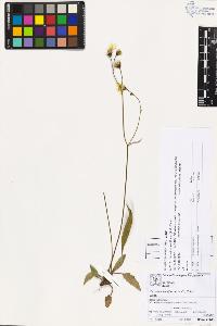 SW_BNB_s3070-03493_IMG-0000000001