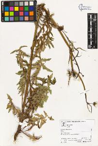 SW_BNB_s3070-03497_IMG-0000000001