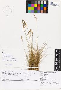 SW_BNB_s3070-03498_IMG-0000000001