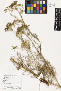 SW_BNB_s3070-03500_IMG-0000000001