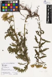 SW_BNB_s3070-03501_IMG-0000000001