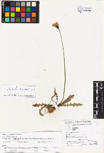 SW_BNB_s3070-03503_IMG-0000000001