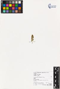 SW_BNB_s3070-03504_IMG-0000000001