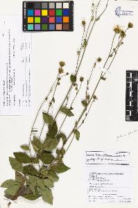 SW_BNB_s3070-03506_IMG-0000000001