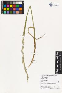 SW_BNB_s3070-03508_IMG-0000000001
