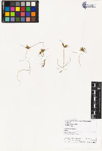 SW_BNB_s3070-03517_IMG-0000000001