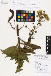 SW_BNB_s3070-03519_IMG-0000000001