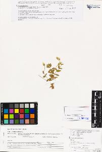 SW_BNB_s3070-03520_IMG-0000000001