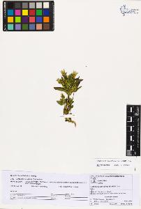 SW_BNB_s3070-03521_IMG-0000000001