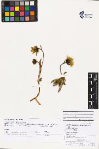 SW_BNB_s3070-03532_IMG-0000000001