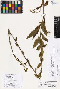 SW_BNB_s3070-03536_IMG-0000000001