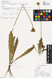 SW_BNB_s3070-03537_IMG-0000000001