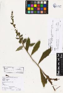 SW_BNB_s3070-03538_IMG-0000000001