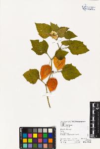 SW_BNB_s3070-03539_IMG-0000000001