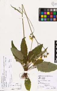 SW_BNB_s3070-03543_IMG-0000000001