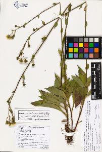SW_BNB_s3070-03545_IMG-0000000001
