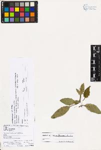 SW_BNB_s3070-03546_IMG-0000000001